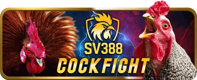 Bảo mật thông tin v99